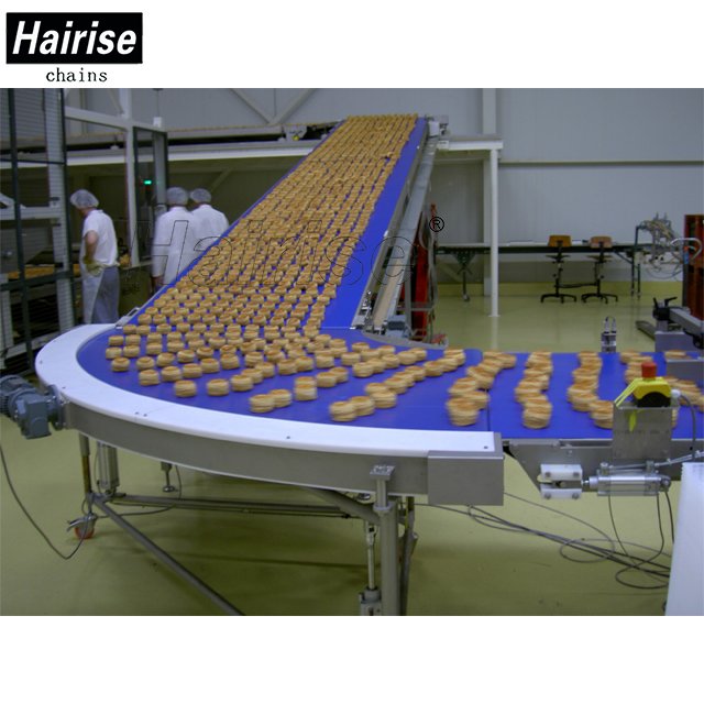 Hairise economical custom design save 20% modular egg conveyor belt