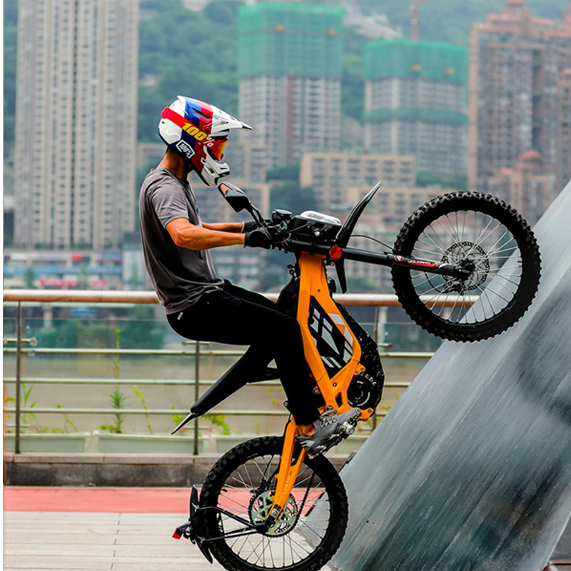 The latest Version Electric Dirt Bike Bicycle 60V 40AH Off Road Mountain Ebike Dirt Bike Electric Motorcycle 2025 Light Bee X