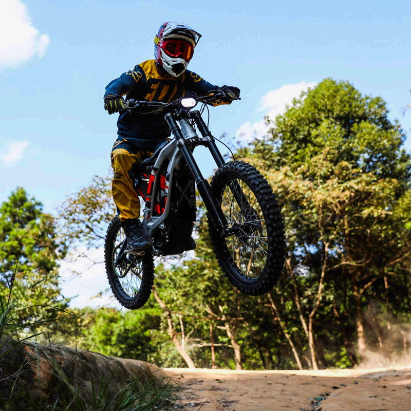 The latest Version Electric Dirt Bike Bicycle 60V 40AH Off Road Mountain Ebike Dirt Bike Electric Motorcycle 2025 Light Bee X