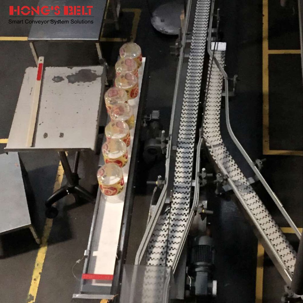 Hongsbelt HS-40P Keel Chain Straight Running Chain Tabletop Chain