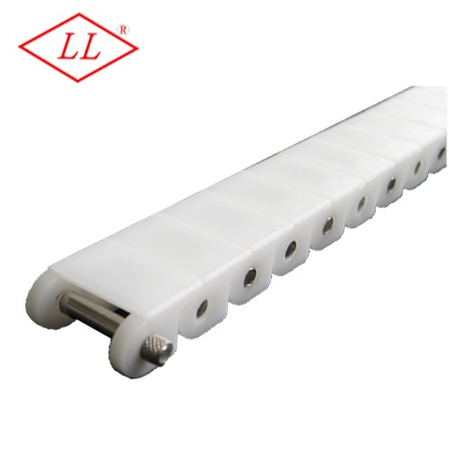 40P Plastic POM Roller Chain for Industry & Manufacturing Plant OEM Customized Support