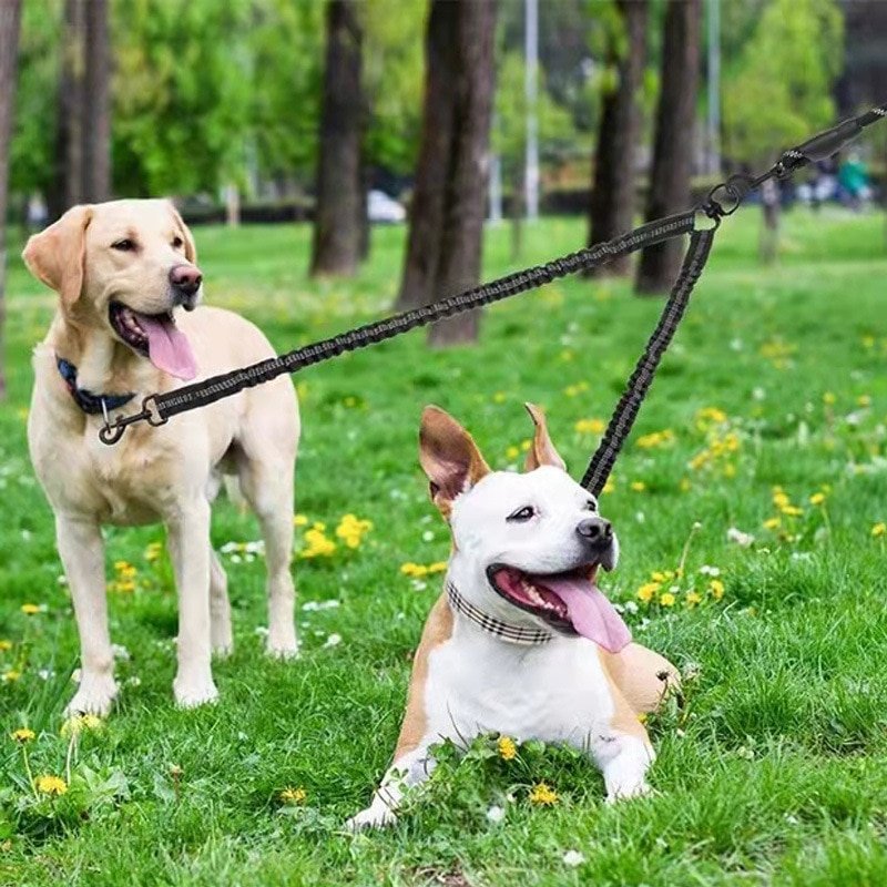 New Black 2 Way Couplers Dog Leash Rope Elastic Extended Pet Leash Belt Outdoor Training dog leash for Two Double