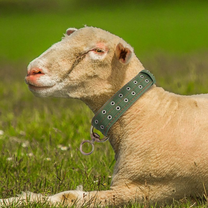 Farm Cows Accessories Cow Collar Canvas Adjustable Buckle Goat Livestock Traction Cattle Collar Neck Straps