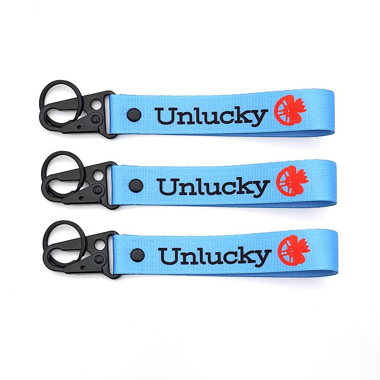 Cheap Webbing Key Chains Fabric Keychain Keyring Key Chain Strap Lanyard Keychain Custom Logo Keychains with Carabiner Hook