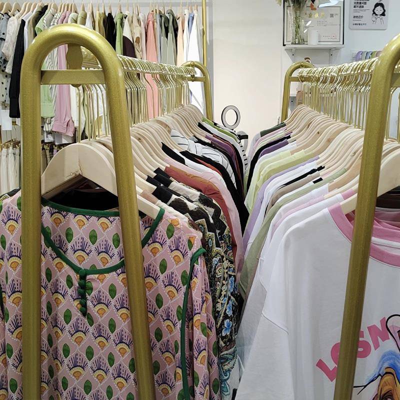 Simple drying rack landing house house hanging rack cloak rack bedroom clothes display shelf light luxury women's clothing shop shelf