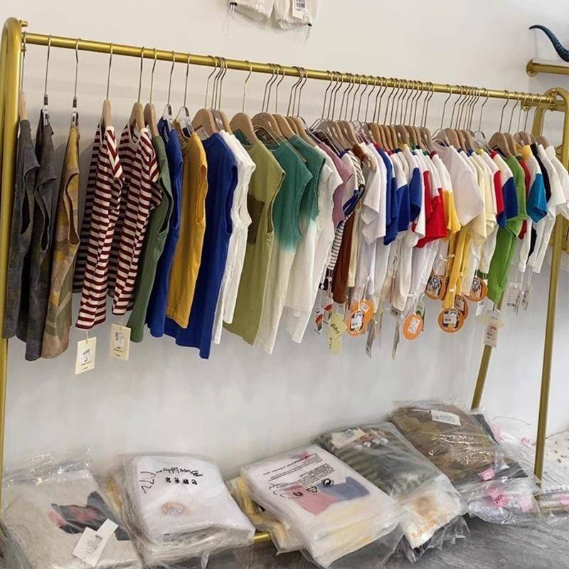 Simple drying rack landing house house hanging rack cloak rack bedroom clothes display shelf light luxury women's clothing shop shelf