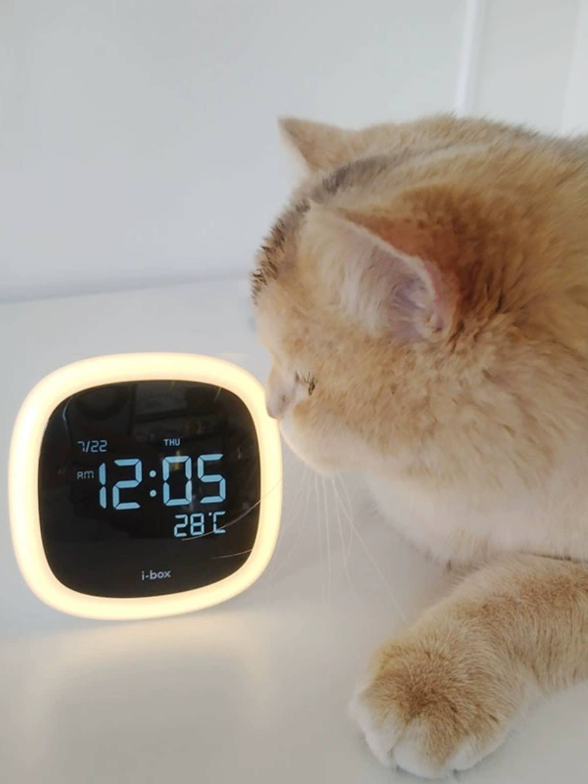 Exit the original single alarm box, multi -functional digital clock indoor temperature humidity, small night lamp student girlfriend