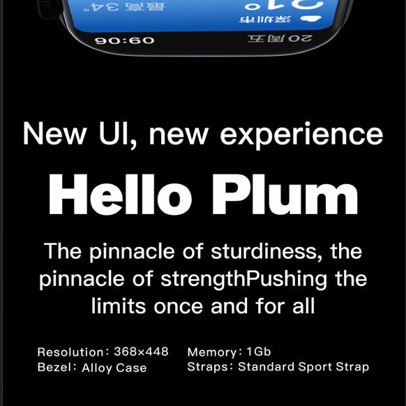 Hello Plum H13 pro plus 1Gb watches 45mm Amoled Reloj inteligente heart rate monitor app for android and ios Smart watch 10