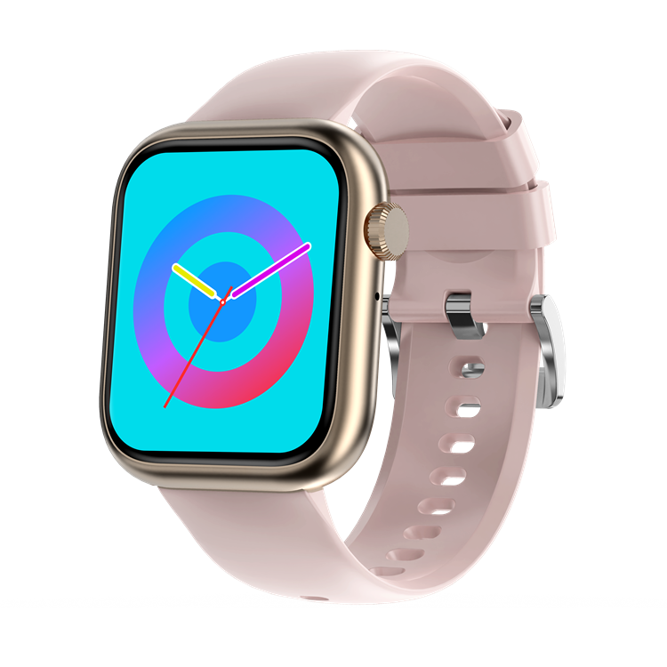 Dt No.1 Smartwatch 1.83 Inch Screen 250mAh Dafit Magnetic Charger S9 Dtno.1 7 CR023 Smart Watch