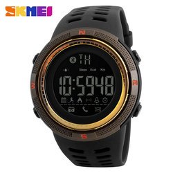 SKMb840118