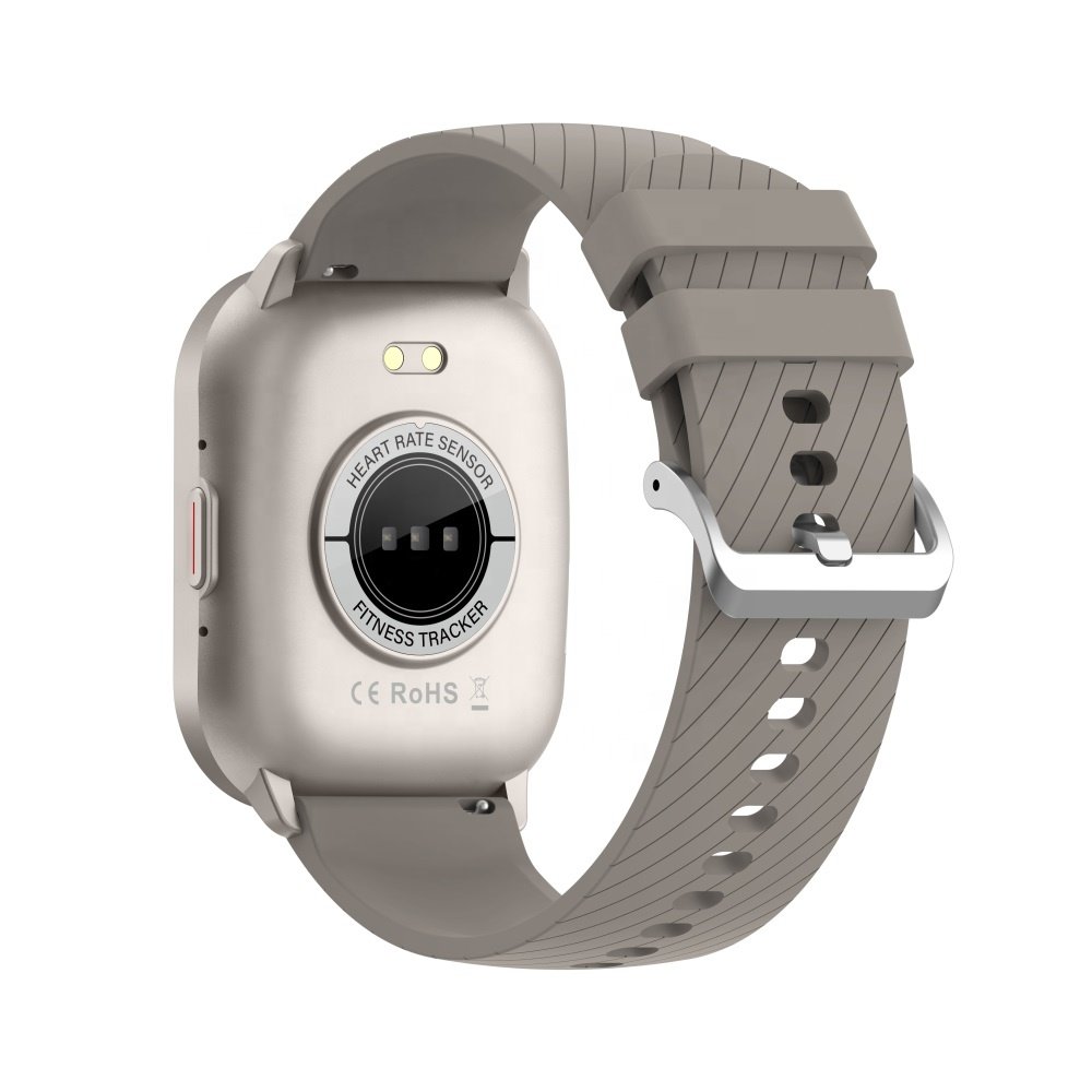 Wholesale Cheap Price Smart Watch ZL99J 2.01 Big Screen Mens OEM IP68 Waterproof BT Call Full Touch Sport Fitness Smart Watch
