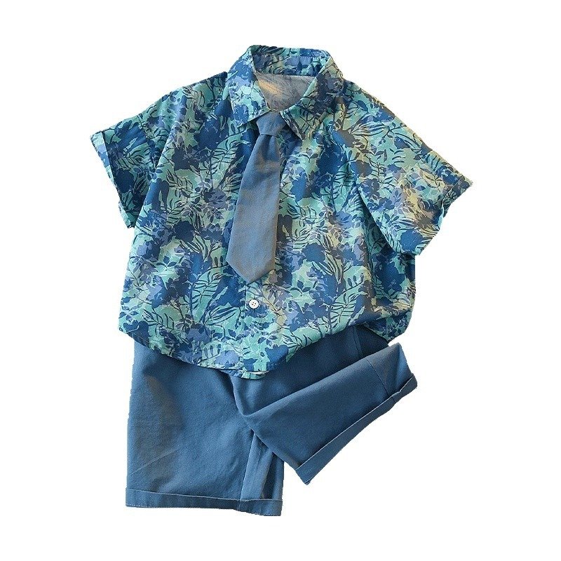 High quality Fashionable and Cute Boys clothing Set cotton new boys clothing sets fashion short kids suits boys