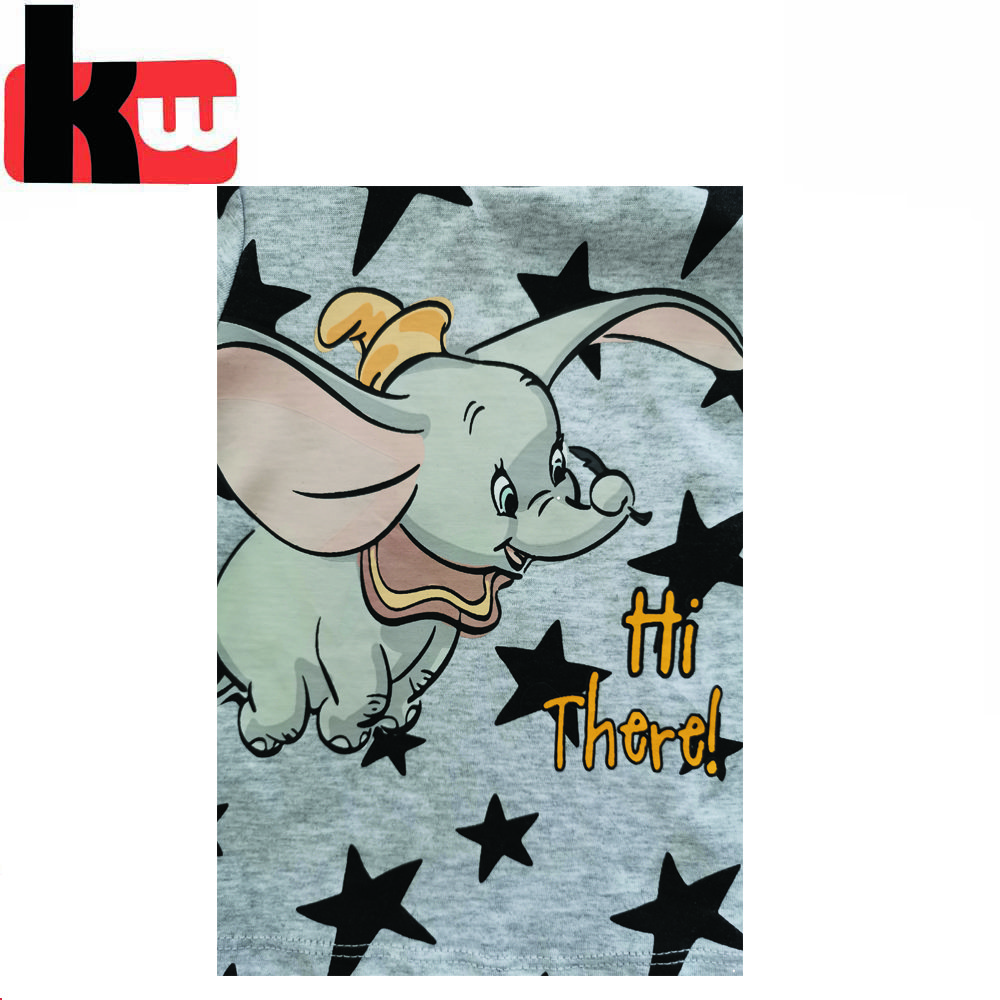 Comfortable Baby Set Dumbo Cartoon Printing Baby Clothing Sets Kids Clothing Sets Boys Full Casual OEM Service BSCI Soft Shell