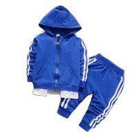 Random Kids Hoodies Clothes 2pcs Baby Boy Outfits Cotton Shirt + Pants Toddlers Boys Clothes Children Suits Boy Clothes sets