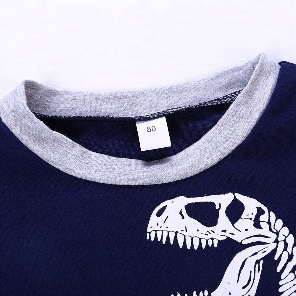 Kids Clothes Set Children's Clothing Casual Dinosaur Design Toddler Boys Clothing Sets