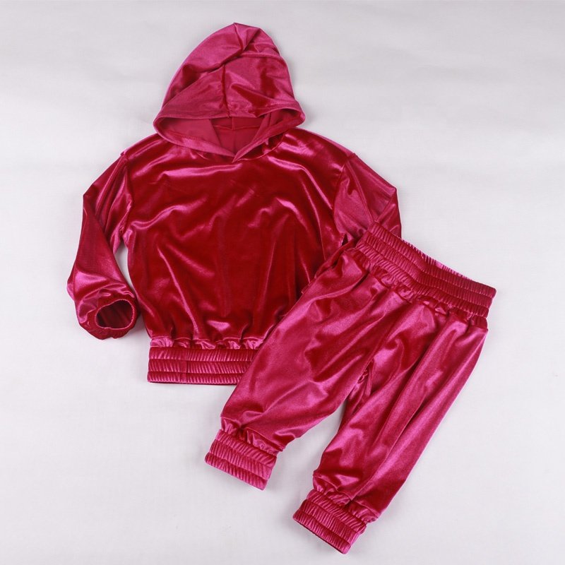 cute baby clothes baby girls hooded tops with pants 2 pcs sets 1 to 3 years toddler boy and girls velvet clothing set for spring
