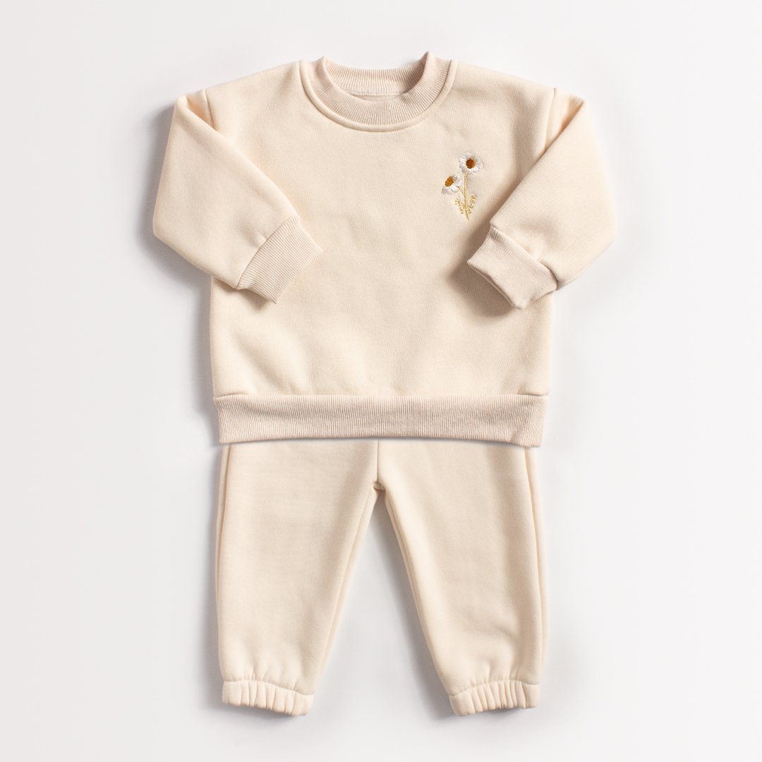 2Pcs Winter Thickening Baby Clothes Set Embroidery Warm Sweatshirt + Pant Baby Boy Tracksuit Toddler Clothes Outfit