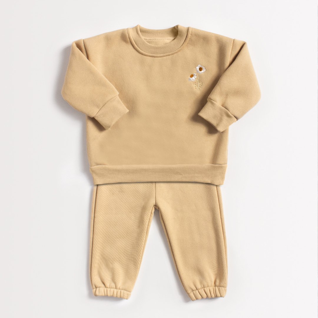 2Pcs Winter Thickening Baby Clothes Set Embroidery Warm Sweatshirt + Pant Baby Boy Tracksuit Toddler Clothes Outfit