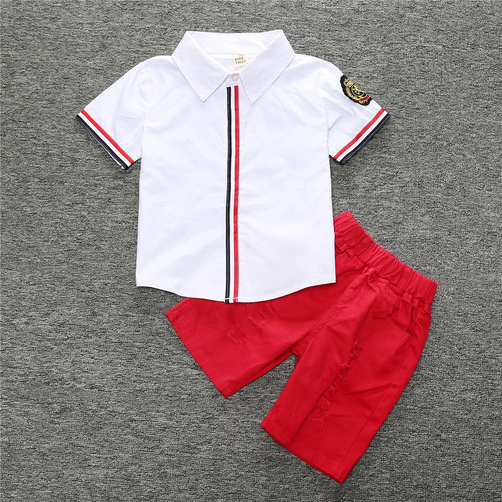 Alibaba Express Turkiye Kids Flower T-Shirts And Shorts Pants Clothes Sets For Boys
