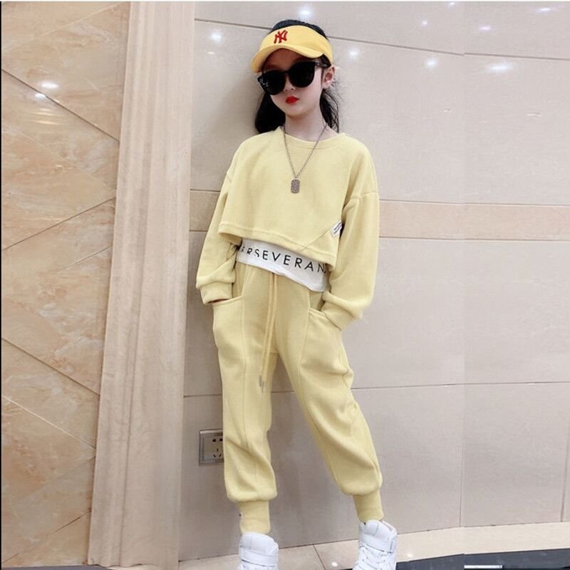 Good supply kids boys' cotton clothing sets children cute hoodies and pants baby girls' sports clothes suits