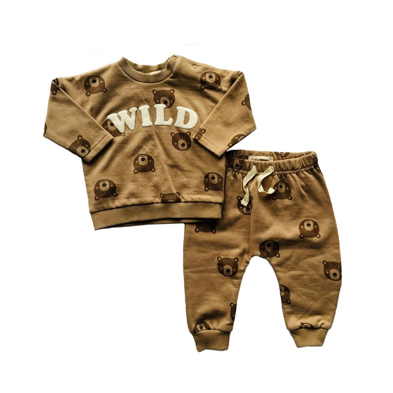 Winter infant print suit baby plush thickened top+trousers 2 pieces Fashion Baby Clothing Sets