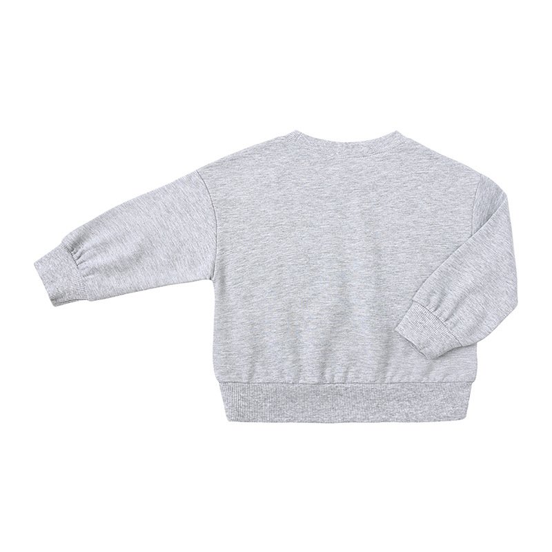 Spring children cotton clothing set baby boy clothes kid sweatshirt T-shirt top+sport shorts 2Pcs outfit toddler tracksuits suit
