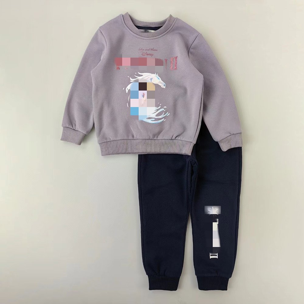 Hot Sales Autumn Long Sleeves Hoodies Kids Tracksuits 2-Piece Sets Boys Girls Winter Warm Clothes Cotton Children Clothing