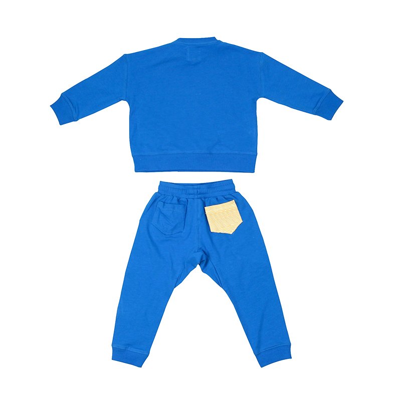 organic cotton children's jogger sets wholesale kid sweatsuit customize kids sweatshirt and jogger set eco kids clothes sets