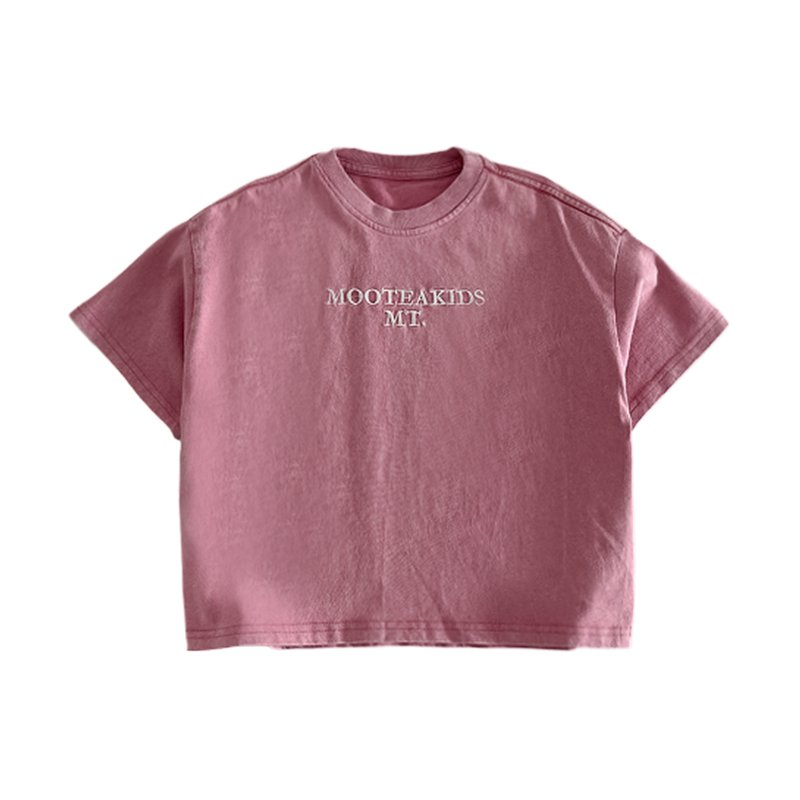 Summer Boys Girls Loose Casual Clothes 2 Pieces Sports Suit Summer Casual Tops Shorts Boys clothing sets