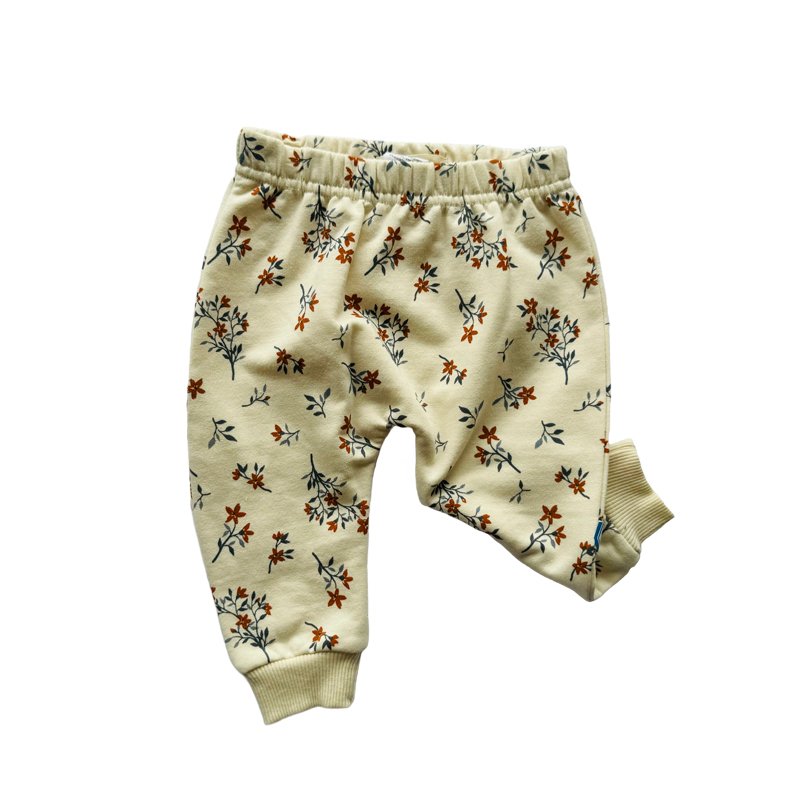 Fashion Long Sleeve Kids Clothes Sport Suit Children sweat suits 2 Pcs Baby Boys And Girls Clothing Sets