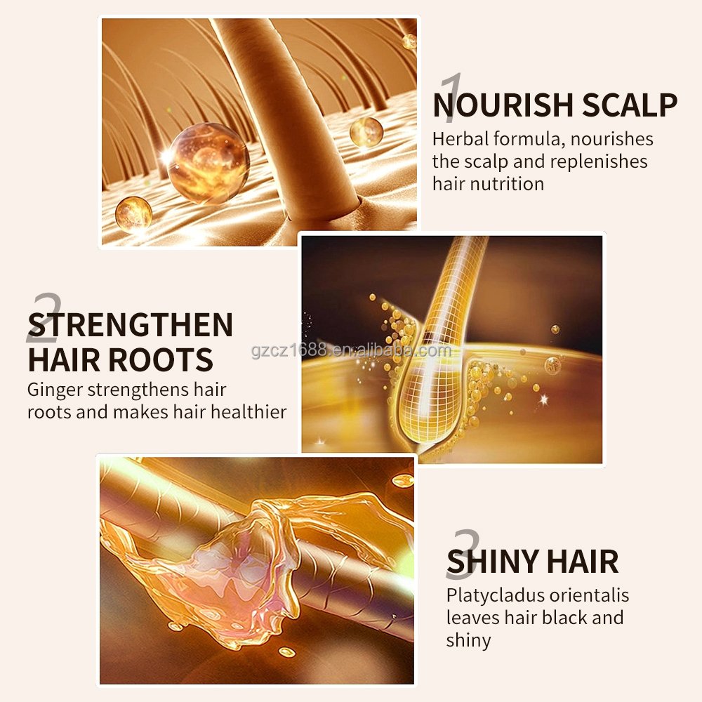 Private Label Wholesale Shampoo Range Scalp Care Hair Wash Product Series Organic Ginger Anti Hair Loss and Growth Shampoo