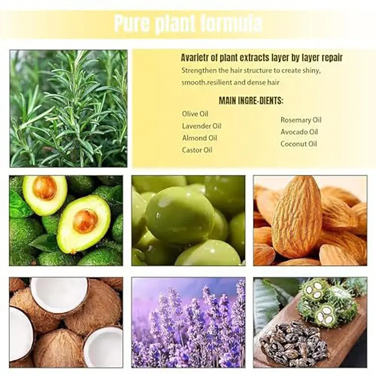 Natural Organic Private Label Anti Hair Loss Treatment Biotin Rosemary Oil Fast Hair Growth Serum Black Women Hair Oil