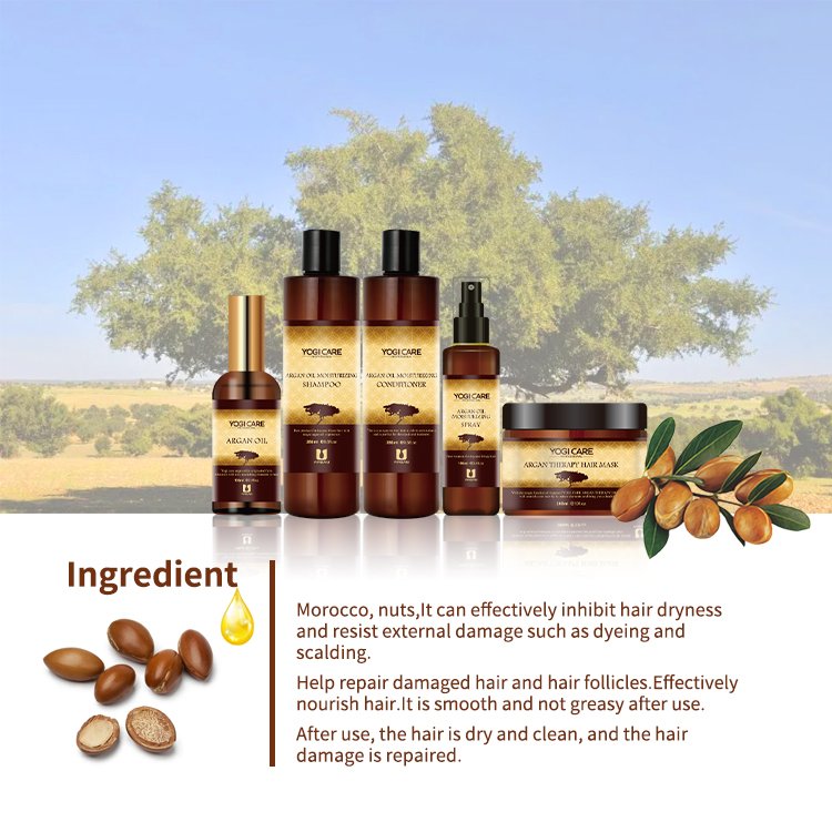 Factory Wholesale Organic Argan Oil Shampoo Smooth Anti-Frizz Split Ends Argan Shampoo Conditioner Set Supplier