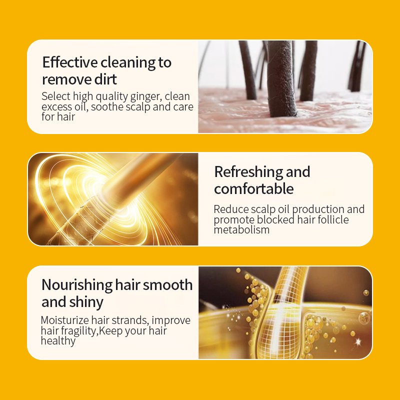 KORMESIC Private Label Herbal Hair Care Set Nourishing Anti-hair Loss Ginger Hair Shampoo and Conditioner