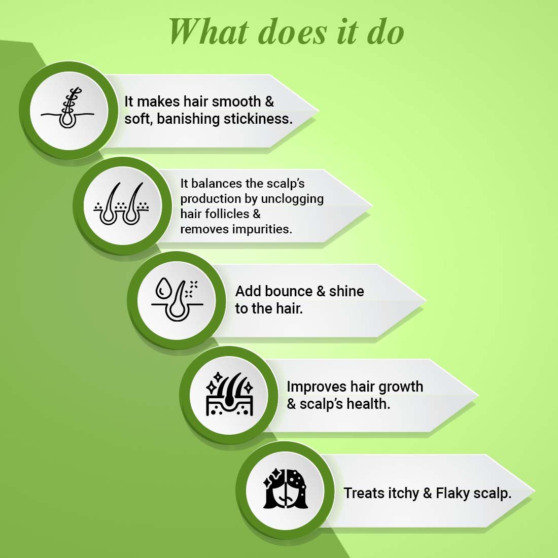 Pro Vitamin B5 Oil Balance Shampoo for Oily Scalp Anti-Dandruff Conditioner that Boosts Hair Volume for Thin Hair