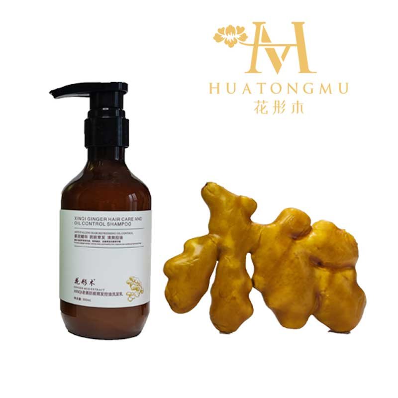 Factory Wholesale Customizable Hot Sale Hair Shampoo Thicker Wash Hair Shampoo