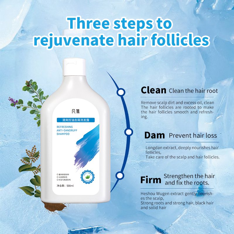 Wholesale Customized Botanical Extracts Men's Refreshing Oil Control Anti-Dandruff Fragrance Shampoo Head Cleansing