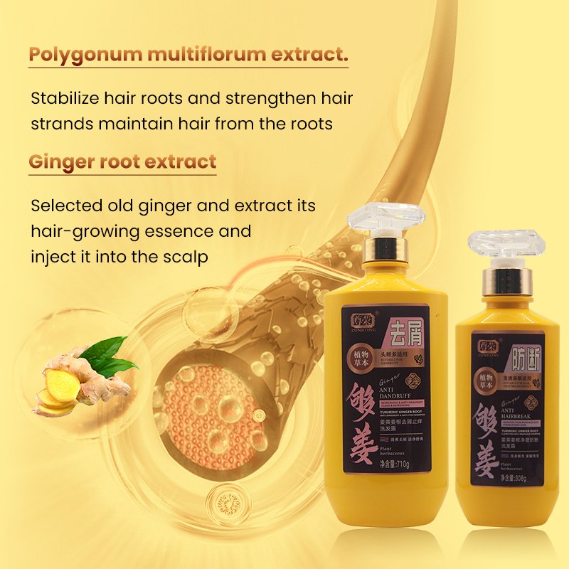 OEM Private Label 100% Natural Organic Ginger Extracts Shampoo Oil Control Ginger Shampoo for Oily Hair