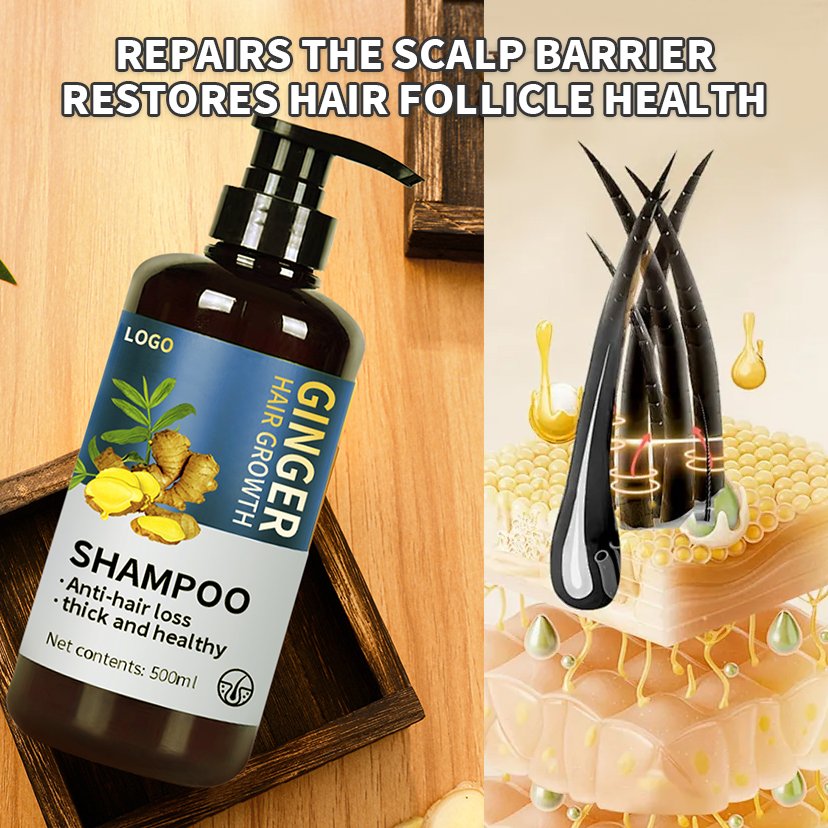 organic fast-growing ginger shampoo private label anti-hair loss shampoo reduces hair loss moisturizing and smoothing