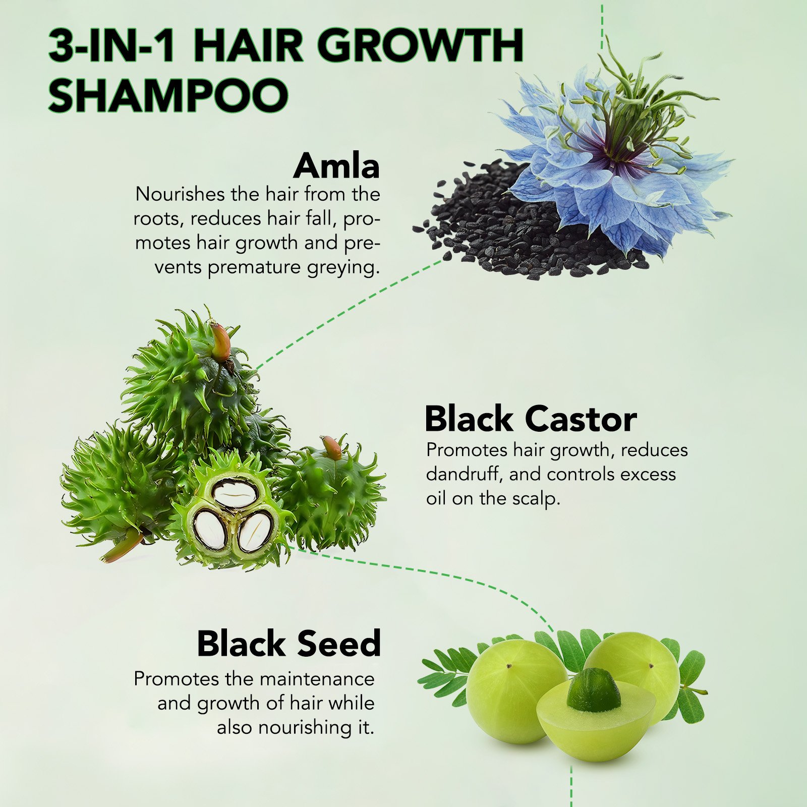 ALIVER private label enhance natural color 300ml hair loss biotin hair growth jamaican black castor amla black seed oil shampoo