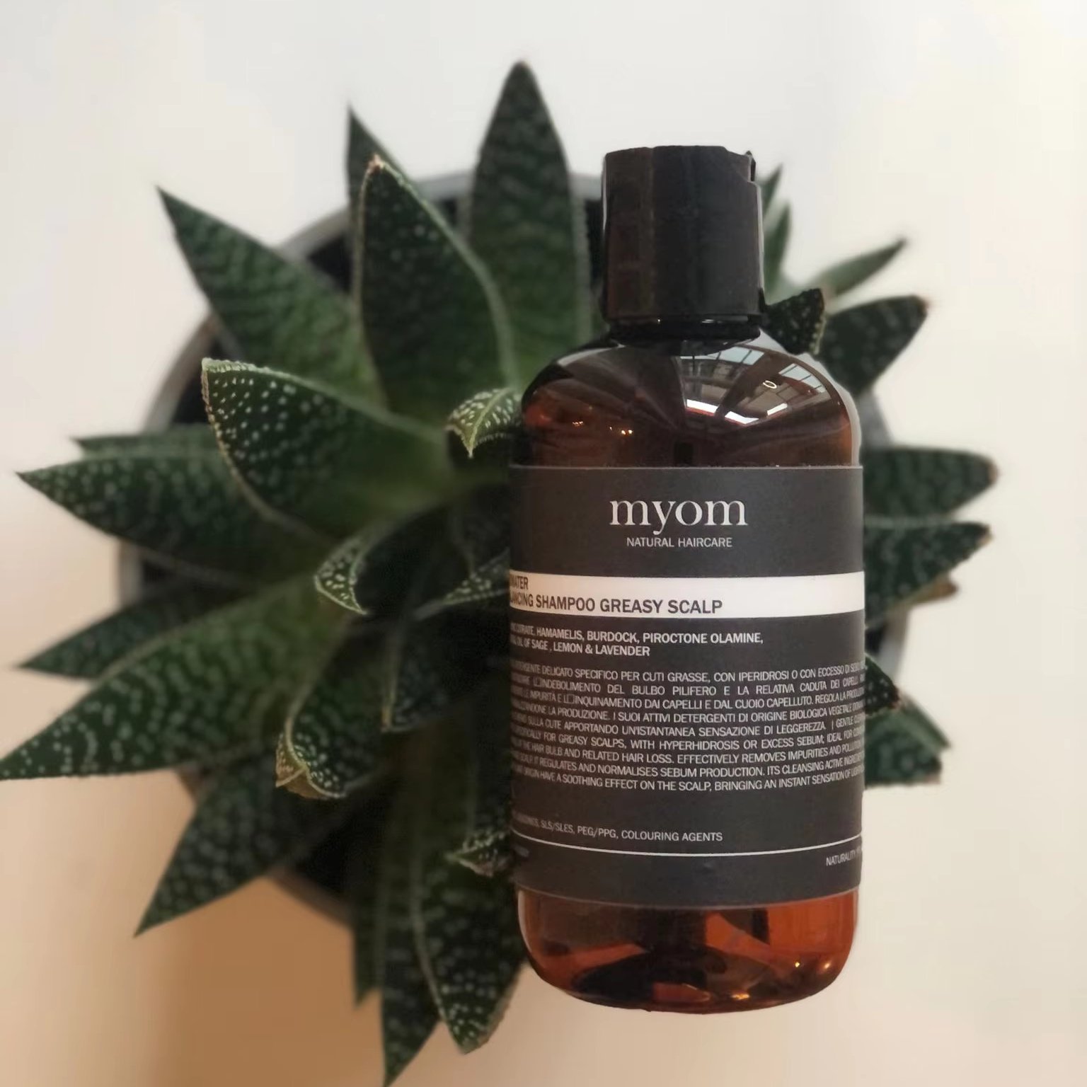 made in italy scalp care shampoo anti gresy anti hair loss and balancing 3 action in 1 organic vegan and natural 99,98%