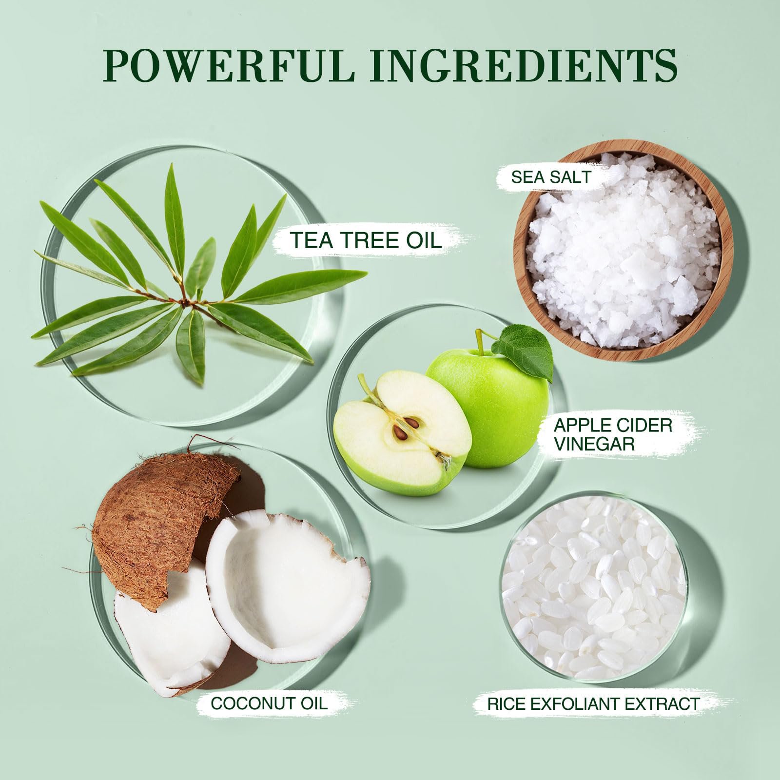 BLIW Private Label Mint Purifying Hair Relaxing Sea Salt Exfoliating Deep Cleansing Oil Control Shampoo Tea Tree Scalp Scrub