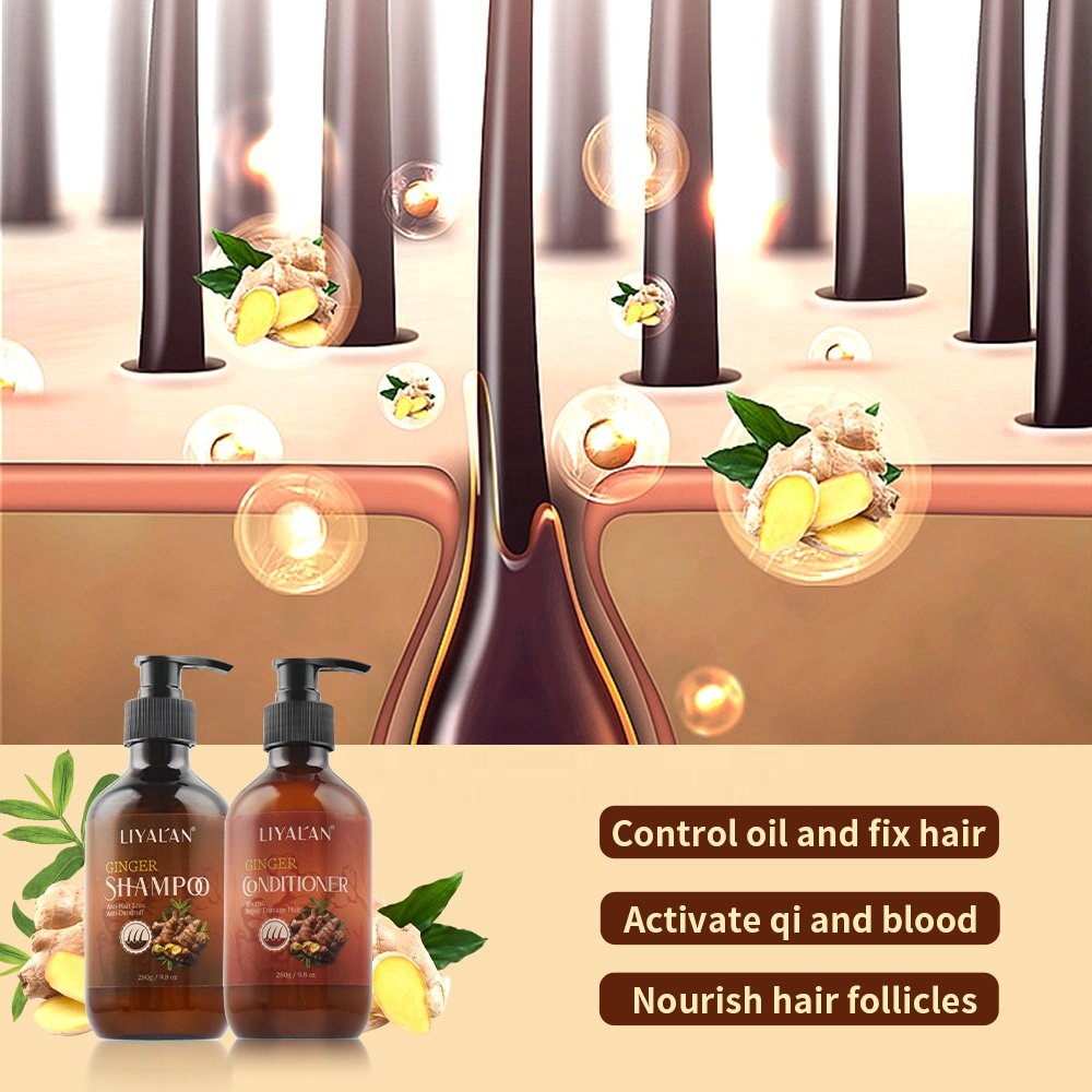 Private Label Sulfate Free Hair Care Set Anti Hair Loss Hair Growth Organic Ginger Shampoo and Conditioner