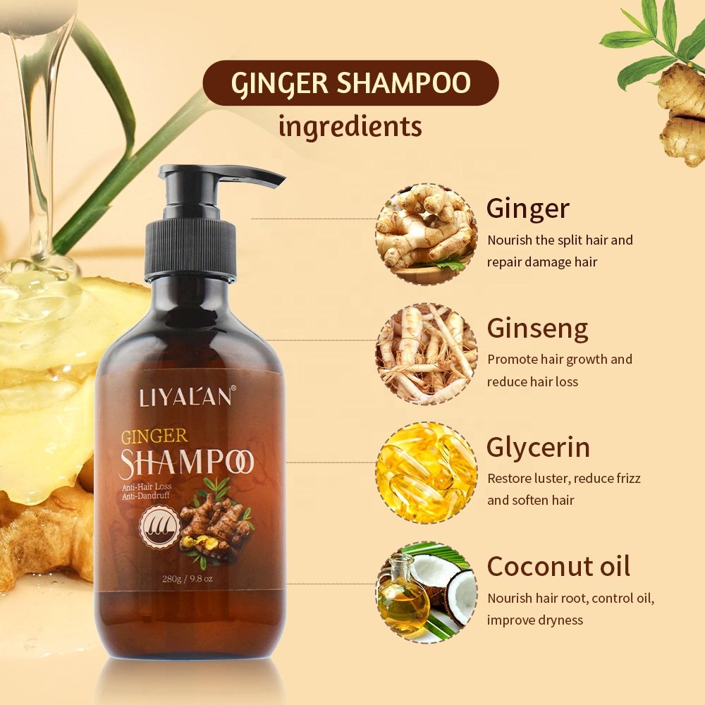 Private Label Sulfate Free Hair Care Set Anti Hair Loss Hair Growth Organic Ginger Shampoo and Conditioner