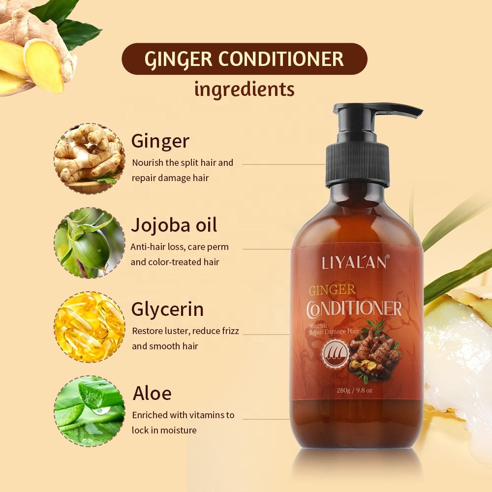 Private Label Sulfate Free Hair Care Set Anti Hair Loss Hair Growth Organic Ginger Shampoo and Conditioner
