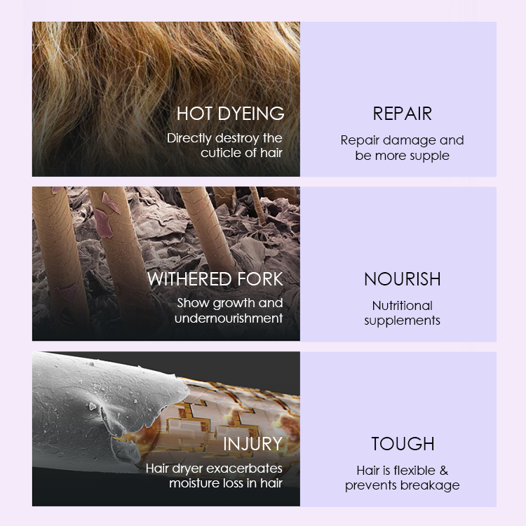 Long-Lasting Moisture Castor Oil Anti Frizz Hair Care Shampoo and Conditioner Kit