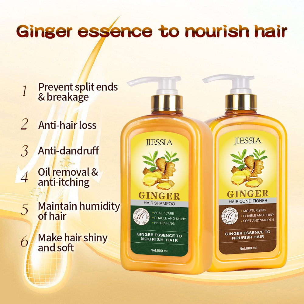 private label ginger king plant extract organic strengthen hair growth anti hair loss ginger shampoo and conditioner