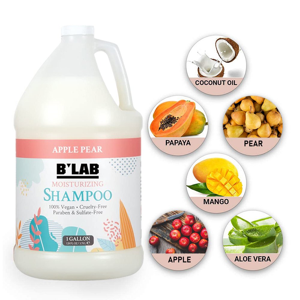 Private Label Hair Care Shampoo and Conditioner for Hotel or Salon Organic Nourishing Argan Oil Anti Dandruff Apple Shampoo
