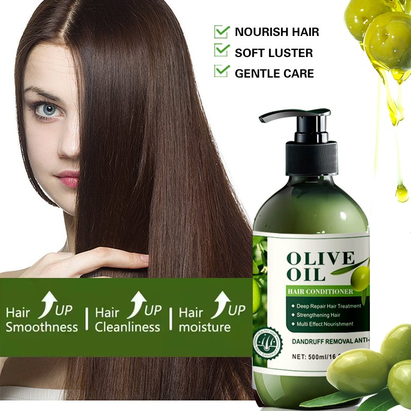 Private brand natural silky olive oil shampoo 500ml anti-dandruff oil control shampoo strong repair shampoo factory