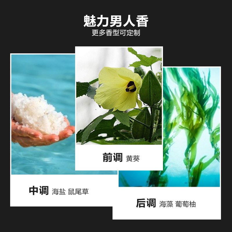 OEM Private Label Anti Dandruff Treatment Sulphate Free Organic Bamboo Charcoal Herbal Healthy Men's Shampoo for Oily Hair